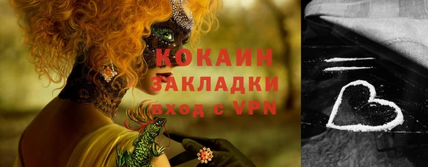 сатива Новозыбков