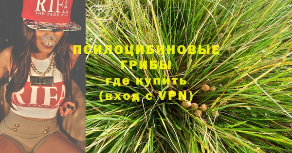 СК Новодвинск