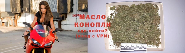 СК Новодвинск