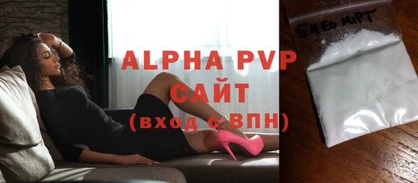 сатива Новозыбков