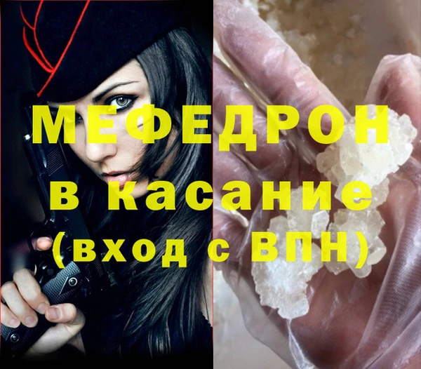сатива Новозыбков