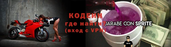 СК Новодвинск