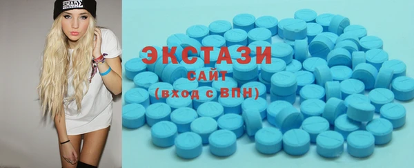 сатива Новозыбков