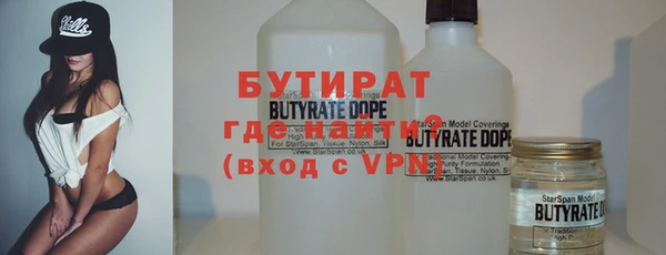 сатива Новозыбков