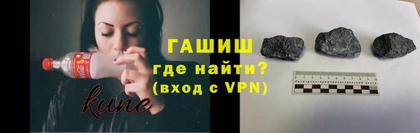 сатива Новозыбков