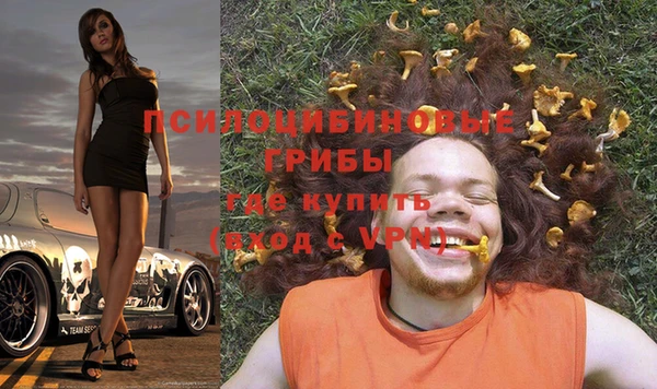мяу мяу мука Анива