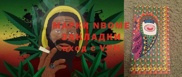 СК Новодвинск