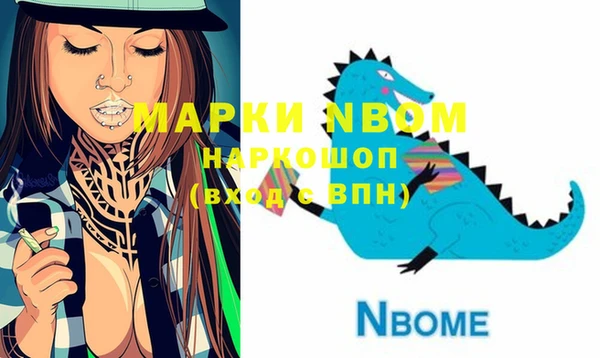 СК Новодвинск