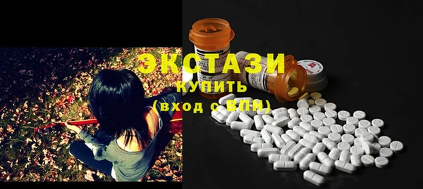 сатива Новозыбков