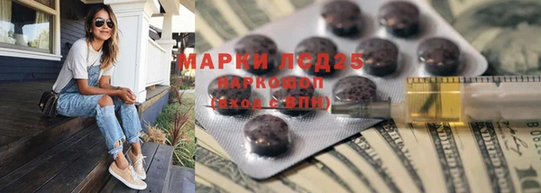 СК Новодвинск