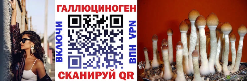 Галлюциногенные грибы Cubensis  кракен как зайти  Харабали 