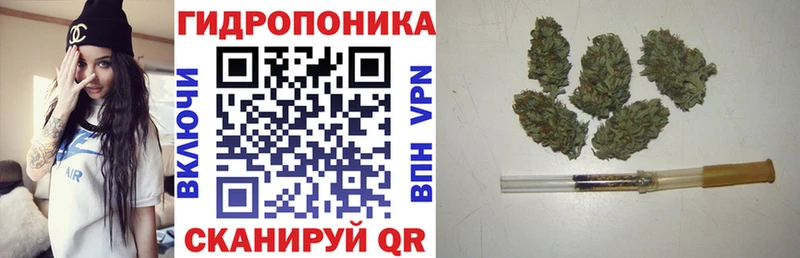 купить наркотики сайты  Харабали  Бошки марихуана White Widow 